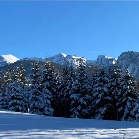 Unterkunft Mit Alpenblick Apartment Aeschi Bei Spiez